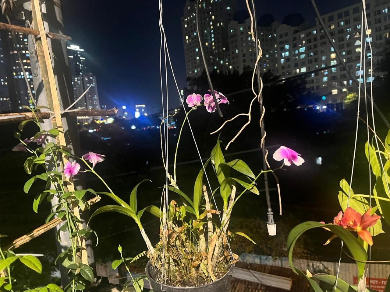 May House Binhthanh Ho Chi Minh City Bagian luar foto